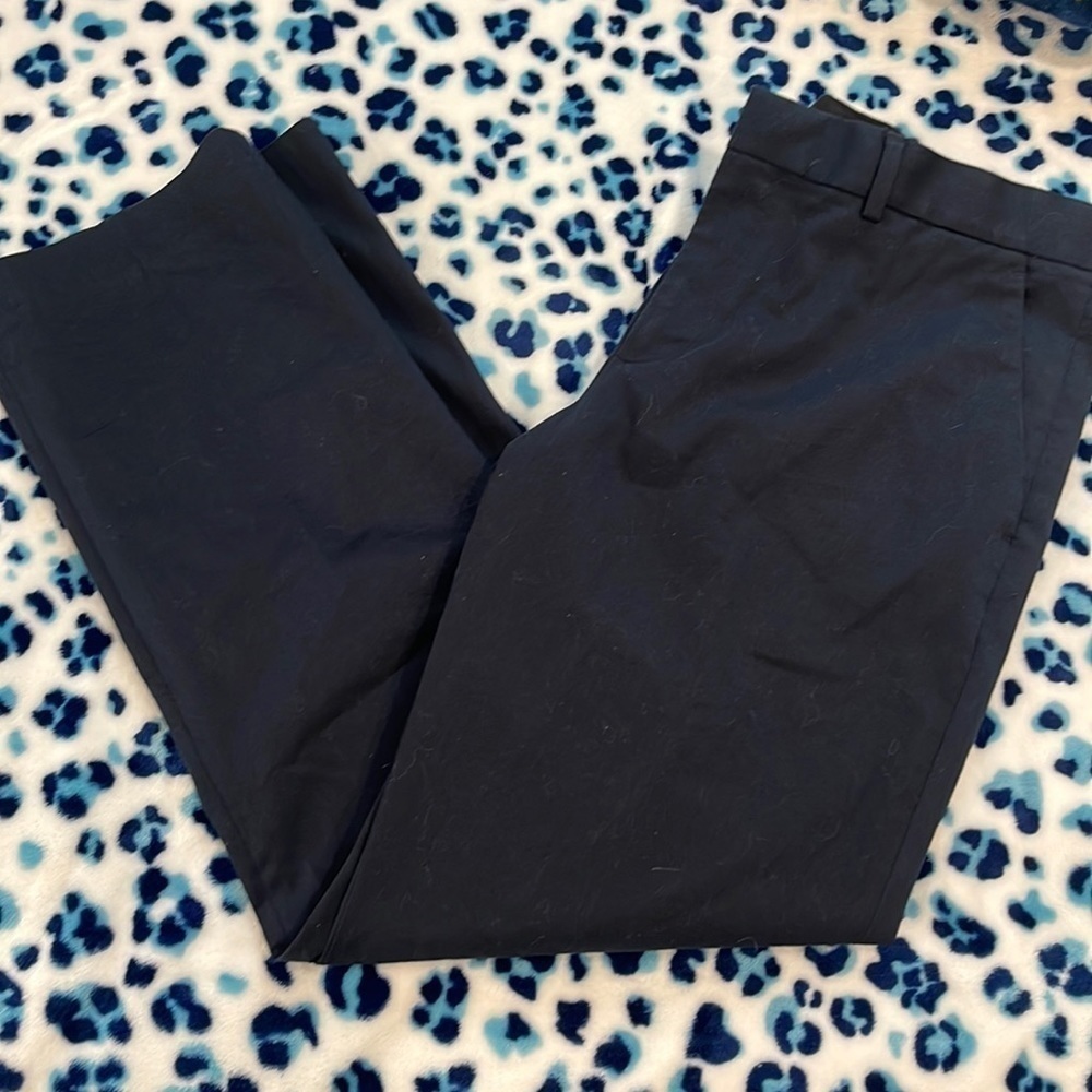 Navy blue express, photographer, dress pants